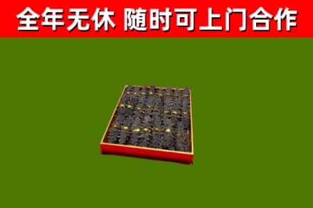 乐山市回收海参